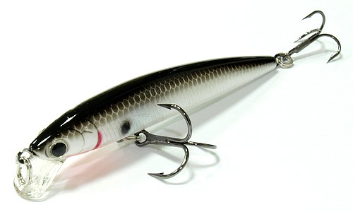 Lucky Craft Flash Minnow 80SP-077 Original Tennessee Shad.jpg