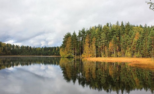 nahimovskoe.jpg