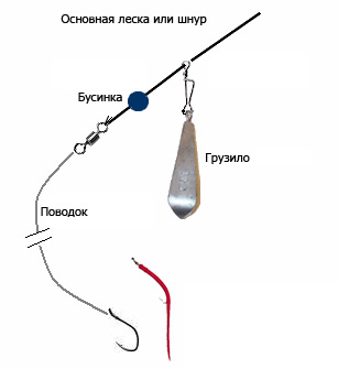 donka-hodovaya.jpg