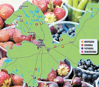 карта ягодных мест.jpg